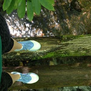 Meet your Posher, Rene